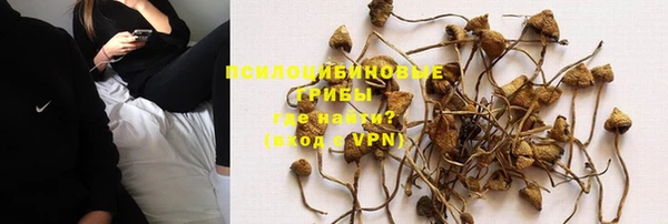 стафф Верея