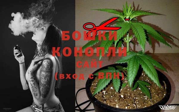 стафф Верея