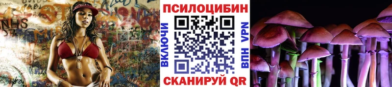 Купить закладки  Новопавловск  Псилоцибиновые грибы Psilocybine cubensis 